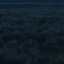 8_