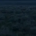 9_
