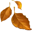 emoji_29