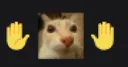 yonovoyadecirlo yonovoyadecirlo