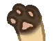 pawwave4