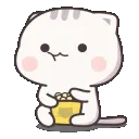 catpopcorn