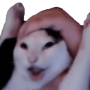 WAHOO WAHOO