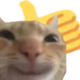 CatThumbsUp