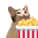 CatPopcorn