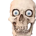 skull