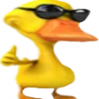 y_patinho