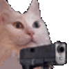 CatGun