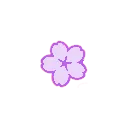 2617smallpurpleflower