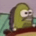 FishStare