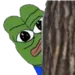 pepepeek
