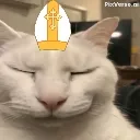 My_pope_reaction