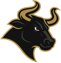 Bulls logo