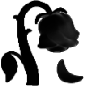1_blackrose
