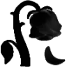 :1_blackrose: