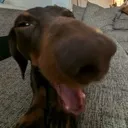 otis