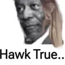 hawktrue