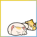 Scat