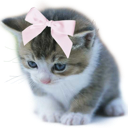 RibbonSadCat Discord emoji