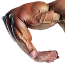 bod1