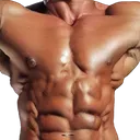 bod2