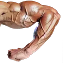 bod3
