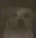 minadog Discord emoji