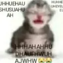 wkaMxmdmsm