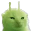 glorp glorp