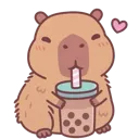 capysip capysip