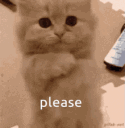 Vinpls