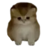 lilguy