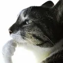 thinker_l