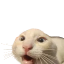 emoji_18