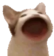 emoji_27