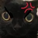 xMadcat