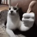 Yes