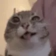 fapDiso