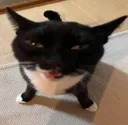 whenidontthe