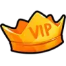 icon_vip