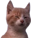 SCsquint