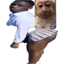 gaymonkey