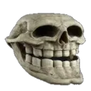 skull_irl