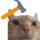 catbonkhammer