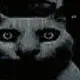 fear