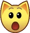 catshock