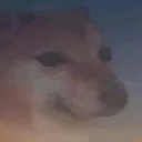 landenfim landenfim