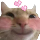 CC_Cat_LoveHappy