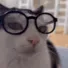 catGlasses