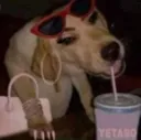 slaydoggy